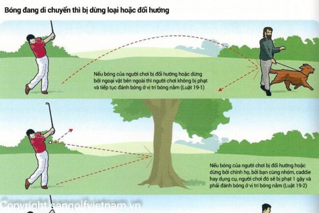 Cách xử lý khi bóng đang di chuyển thì bị dừng lại hoặc đổi hướng