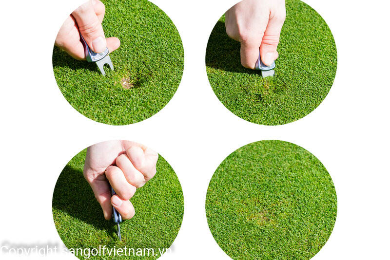 Sửa dấu bóng golf (pitch mark) sau khi đánh một cách chuẩn xác nhất