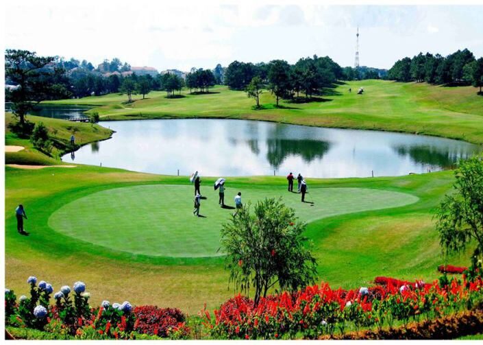 Điểm Danh Những Sân Golf Ở Lâm Đồng Đáng Checkin Nhất Cập Nhật 09/2023