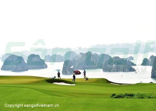 sân tập golf ở Quảng Ninh