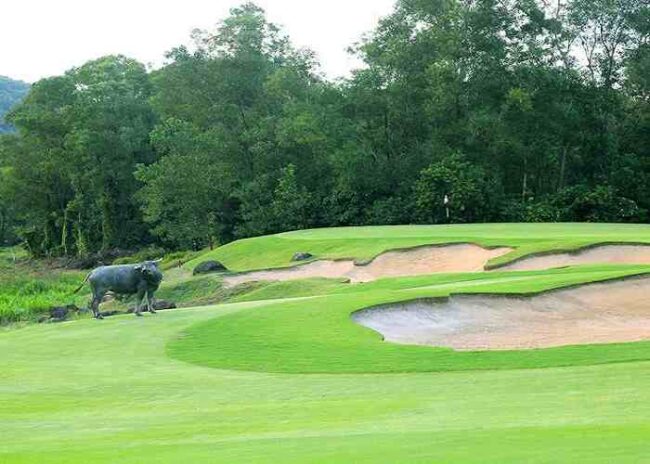 Sân golf ở Huế