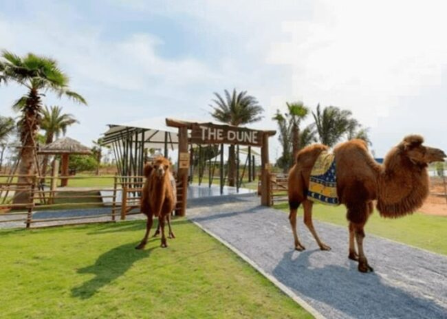 Sân golf Novaland Bình Thuận (Lâm Đồng)