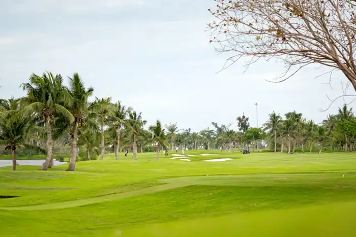 Hình ảnh sân golf Đồ Sơn Hải Phòng - BRG Ruby Tree Golf Resort
