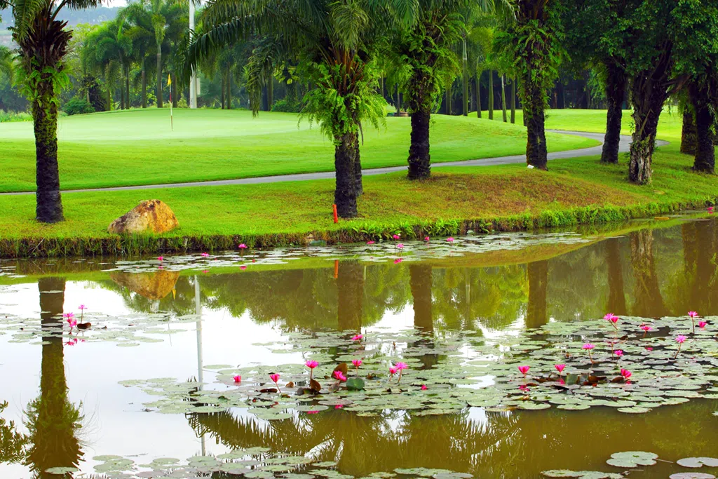 Hình Ảnh Sân golf Long Thành - Long Thành Golf Resort Sangolfvietnam (2)