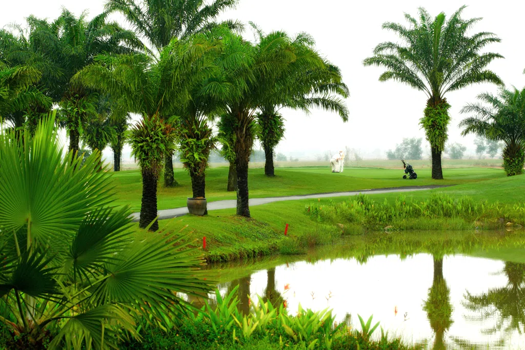 Hình Ảnh Sân golf Long Thành - Long Thành Golf Resort Sangolfvietnam (4)