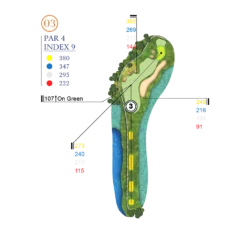 Hố Golf 03 Sân Đầm Lầy Sân Golf Vinpearl Hải Phòng - Sân Golf Vũ Yên Hải Phòng