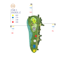 Hố Golf 08 Sân Đầm Lầy Sân Golf Vinpearl Hải Phòng - Sân Golf Vũ Yên Hải Phòng
