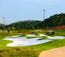 Click vào để xem ảnh lớn hơn Hố 8